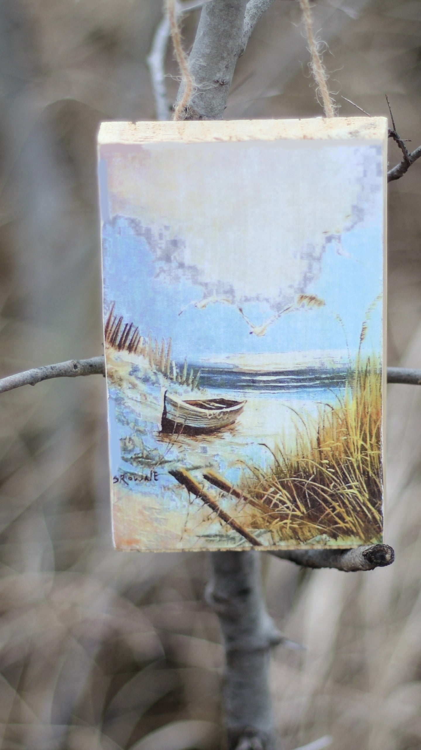 Obraz na desce - jezioro image 0