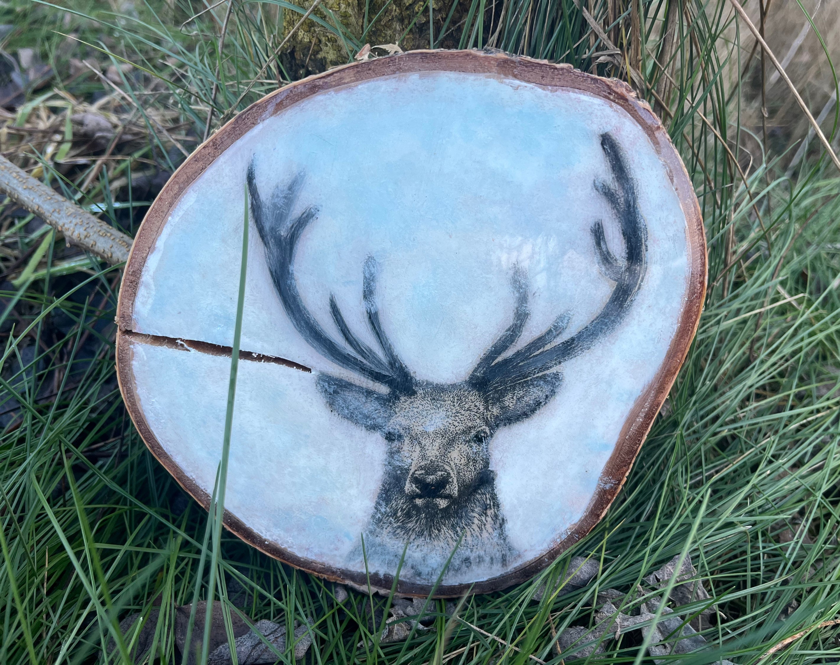 Plaster drewna z motywem jelenia. image 0